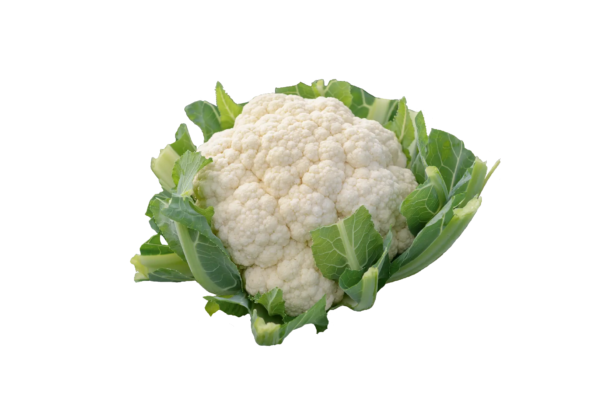 CAULIFLOWER