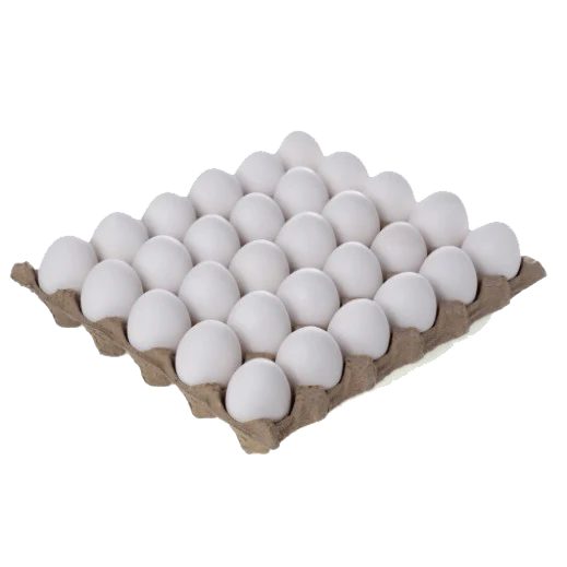 CHILLED WHITE EGGS
