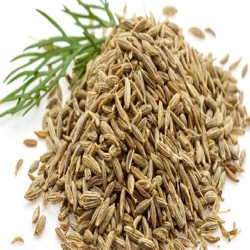 CUMMIN SEED (DHIRI)